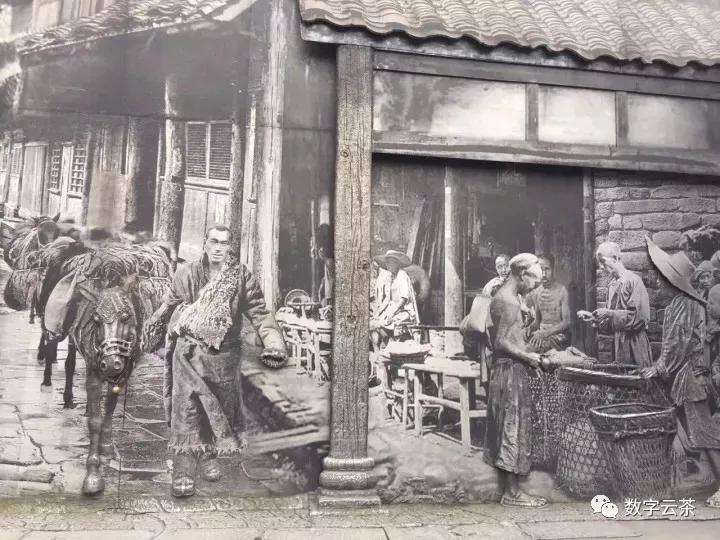 茶马古道寻找茶文化之旅,消失的茶马古道和茶文化