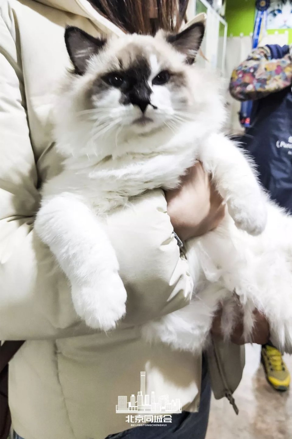 不去后悔去了更加后悔的景点,不去后悔去的景点