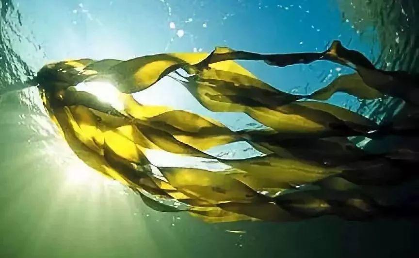 为什么说现在是21世纪呢,21世纪真的很现实吗