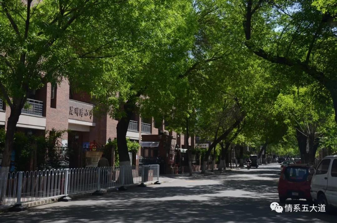 五大道：孕育天津现代医学的摇篮