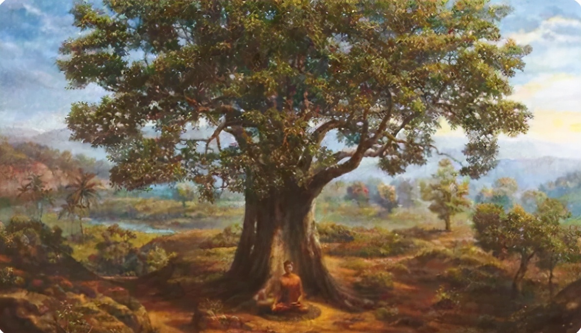 螺纹钢价格到底在哪个阶段合适,螺纹钢几月价格最高几月最低