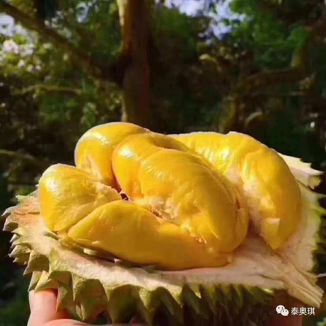 第1次吃榴莲的反应,第一次吃榴莲人的真实反应