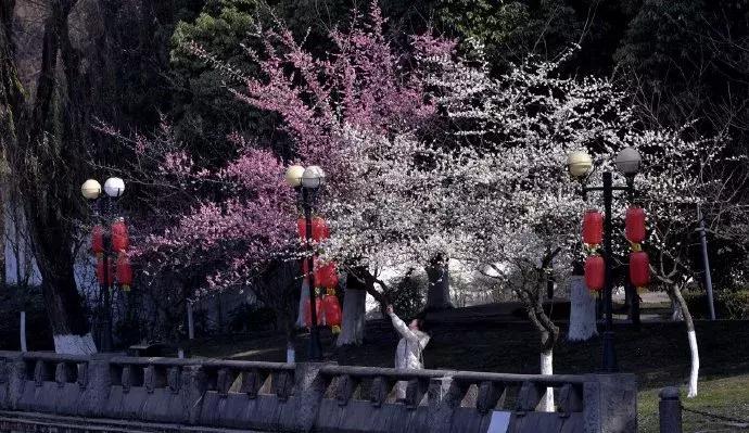 地铁万盛站将大变样，4000余岗位温江招聘会看这里！