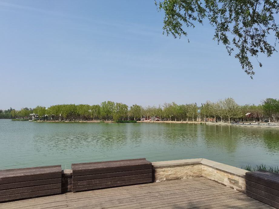 吃饱了来公园走走,吃饱喝足广场散步