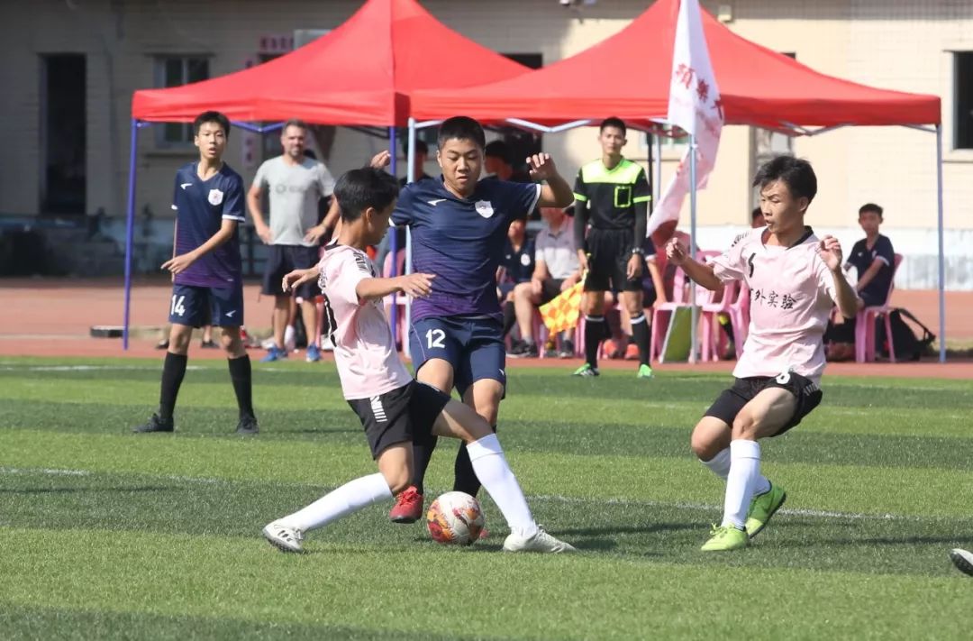 鍏ぇ浣撶郴寤鸿,鍏ぇ浣撶郴鎼厤娉曞垯