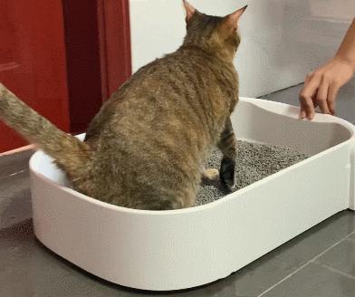 小米超大空间头等舱，堪称移动的“双人床”！米粉：奔驰要让位了