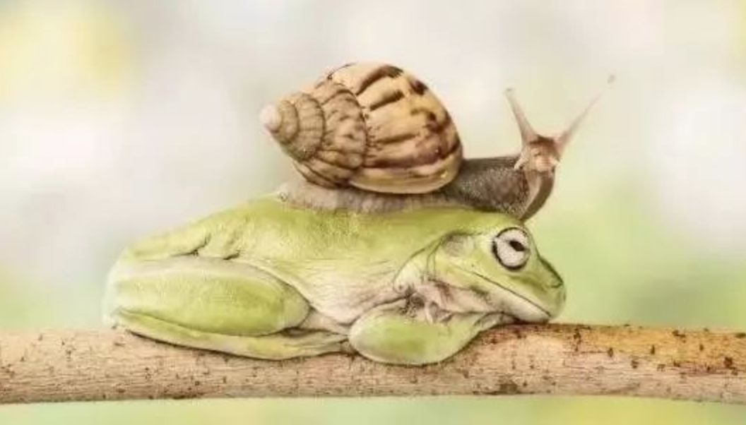 每个生命都值得被虐待,任何生命都不该被虐待