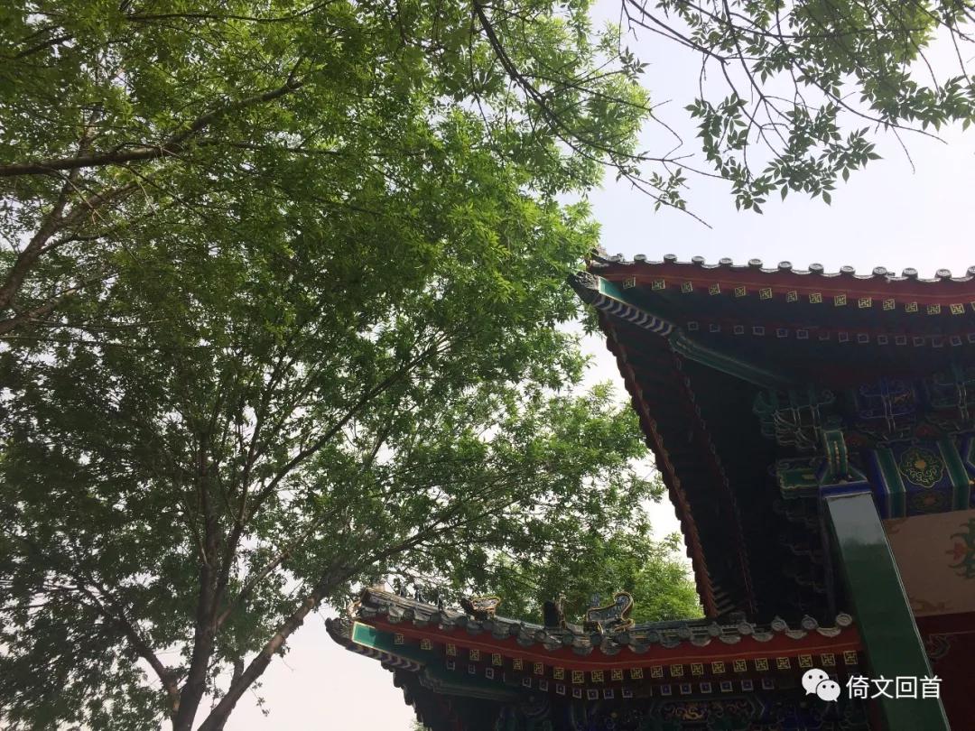 真正的天下第一城是哪里,天下第一城盛况