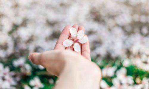 护手美肤又除菌,这才是洗手液的最高配置!