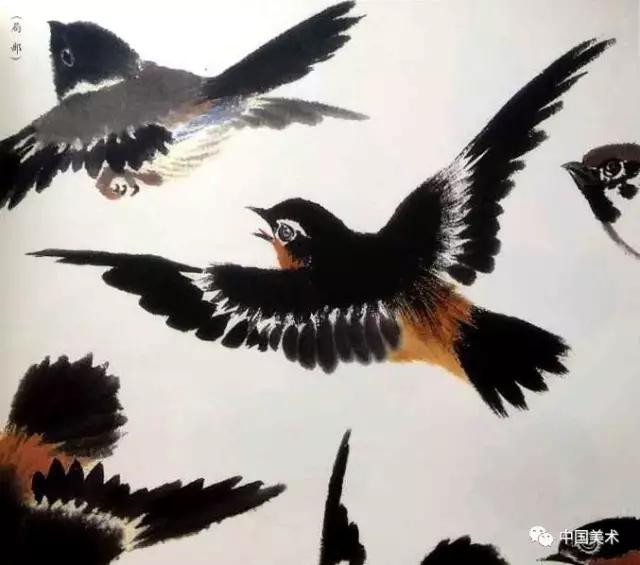 禽鸟画教程,最简单的禽鸟画法