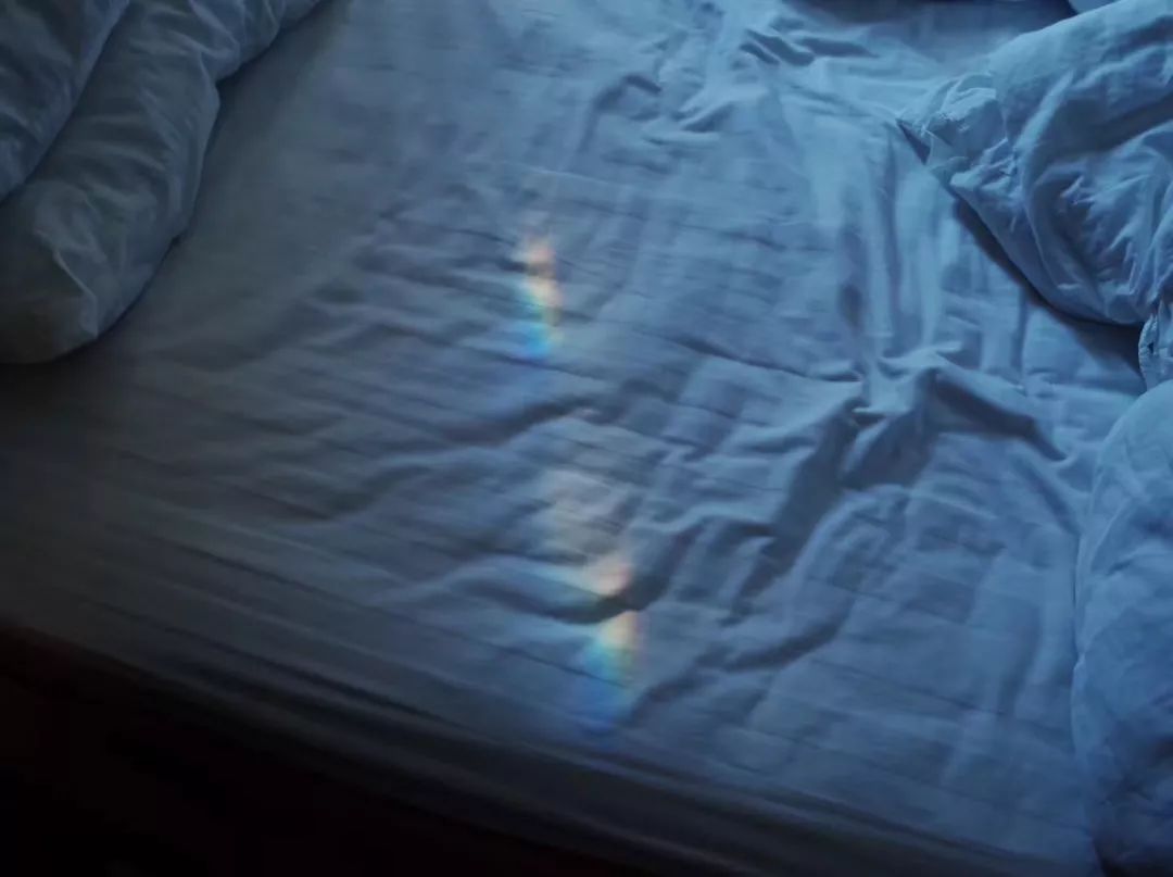 女博士花12年研究婚外*养包**：性远没有想像中那么重要