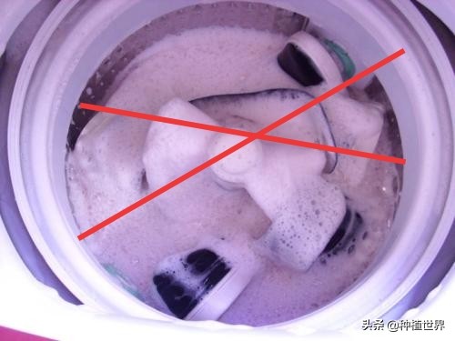 皮鞋不能水洗怎么处理,皮鞋能不能用洗衣机洗