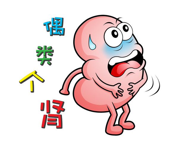 24小时尿量少于100是少尿还是无尿,每天尿量多少为尿毒症