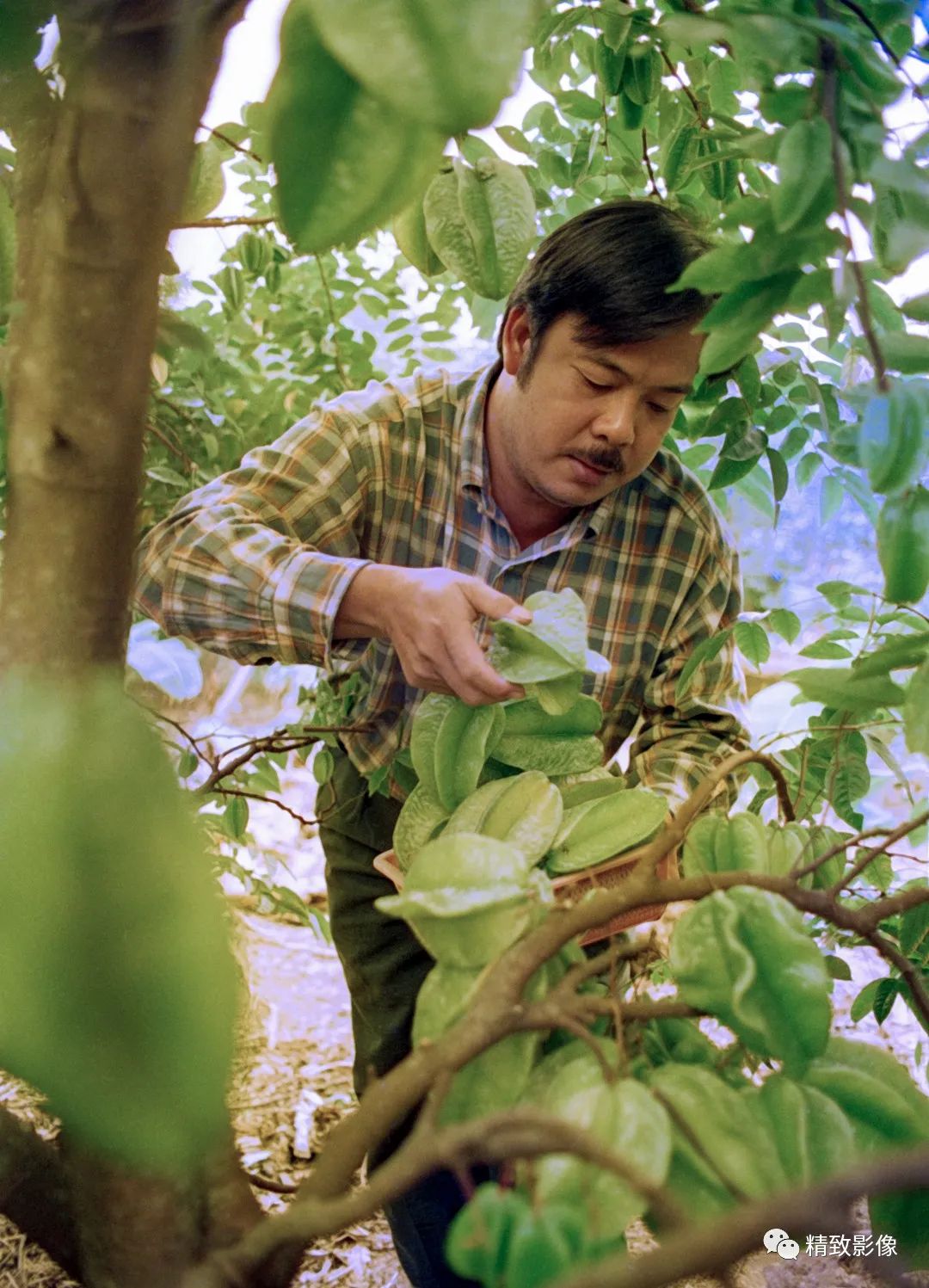 拾光汇影|第六期·珠海斗门白藤湖