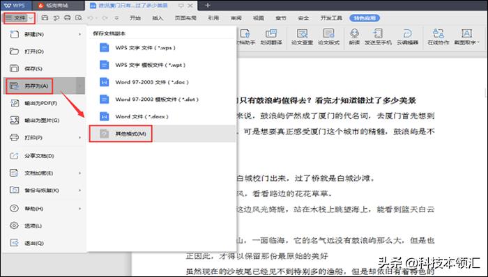 如何将WPS转Office？三分钟就能轻松搞定