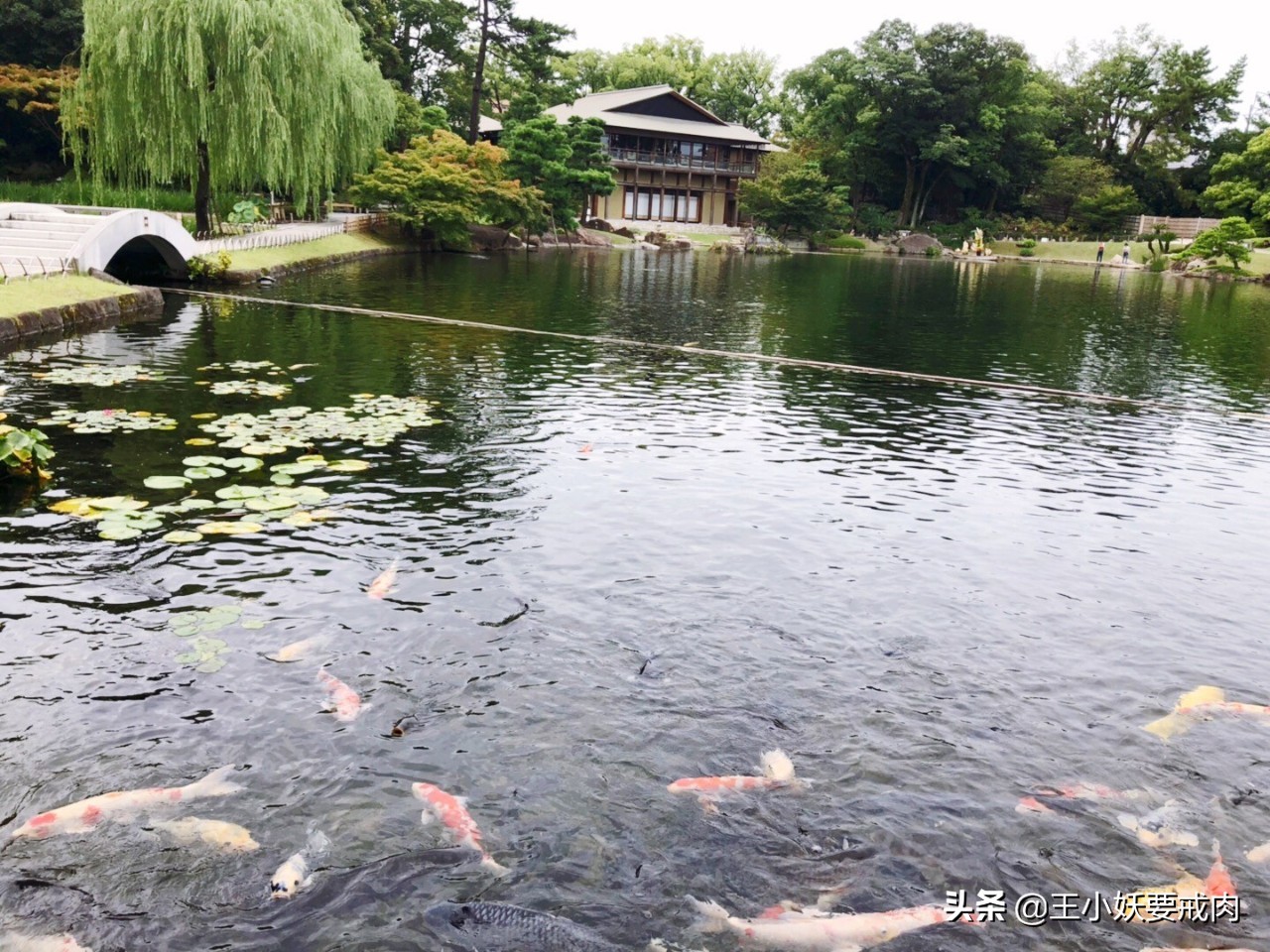 日本自由行攻略7天旅游,日本自由行攻略十大必去景点