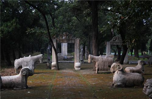 山东孔林为何能乌鸦远避，蛇类不侵？老祖宗的智慧让人叹服