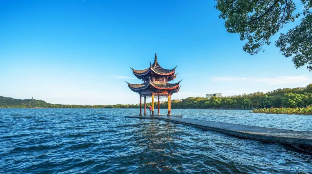 杭州的秋天随处可见都是美景,杭州西溪湿地美成调色盘