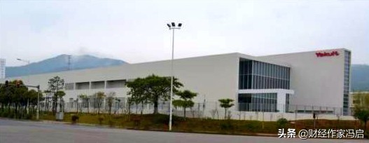 养乐多活力不凡全新上线,养乐多品牌分析