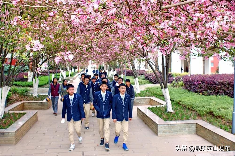 昆一中西山学校初中排名,扬帆起航昆一中西山学校