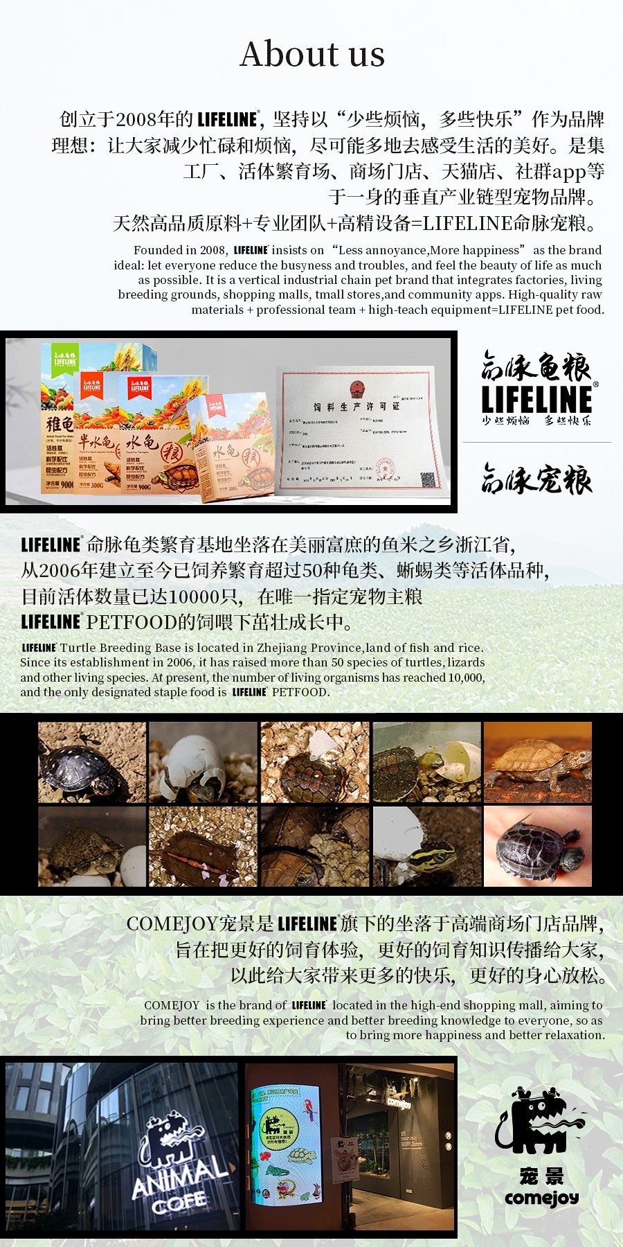 TSA这次聊的龟，连维基百科都没有完整介绍——苏拉威西白头龟