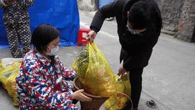 检察代购?有视频有真相