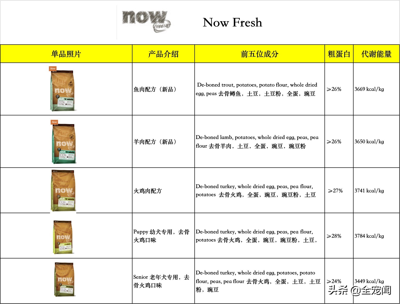 泰迪熊狗狗幼犬喂什么狗粮,比熊泰迪博美小鹿犬哪个合适养