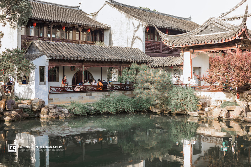 苏州旅游最不能错过的江南园林,留园拙政园是苏州著名的园林