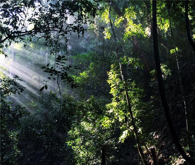 了解西双版纳的风俗和民族文化,西双版纳哈尼族特色民族文化