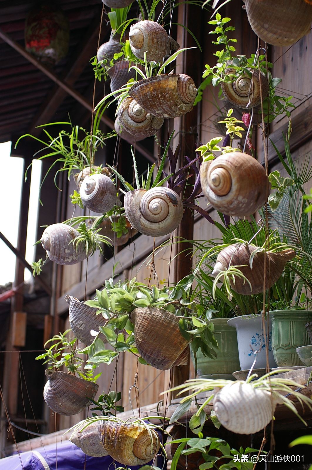 涓浗娓旀潙鐭虫郸鑰佽,瀹佹尝鐭虫郸涓浗娓旀潙