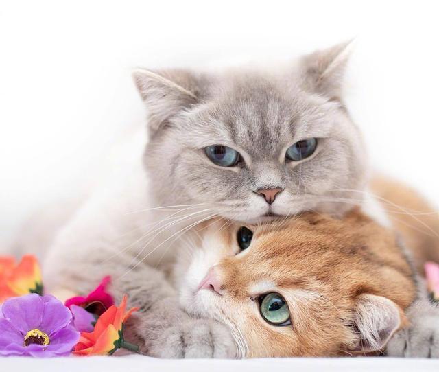 幽默笑话看一遍笑一遍专治不开心,动态幽默笑话最新