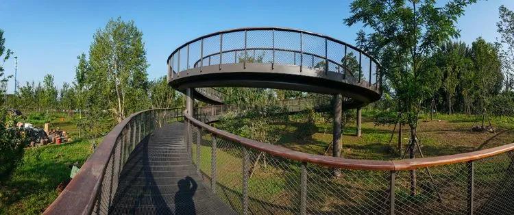 儿童乐园绿心公园,绿心公园儿童游乐区最新视频