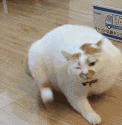 痒是什么原因引起,痒是为啥