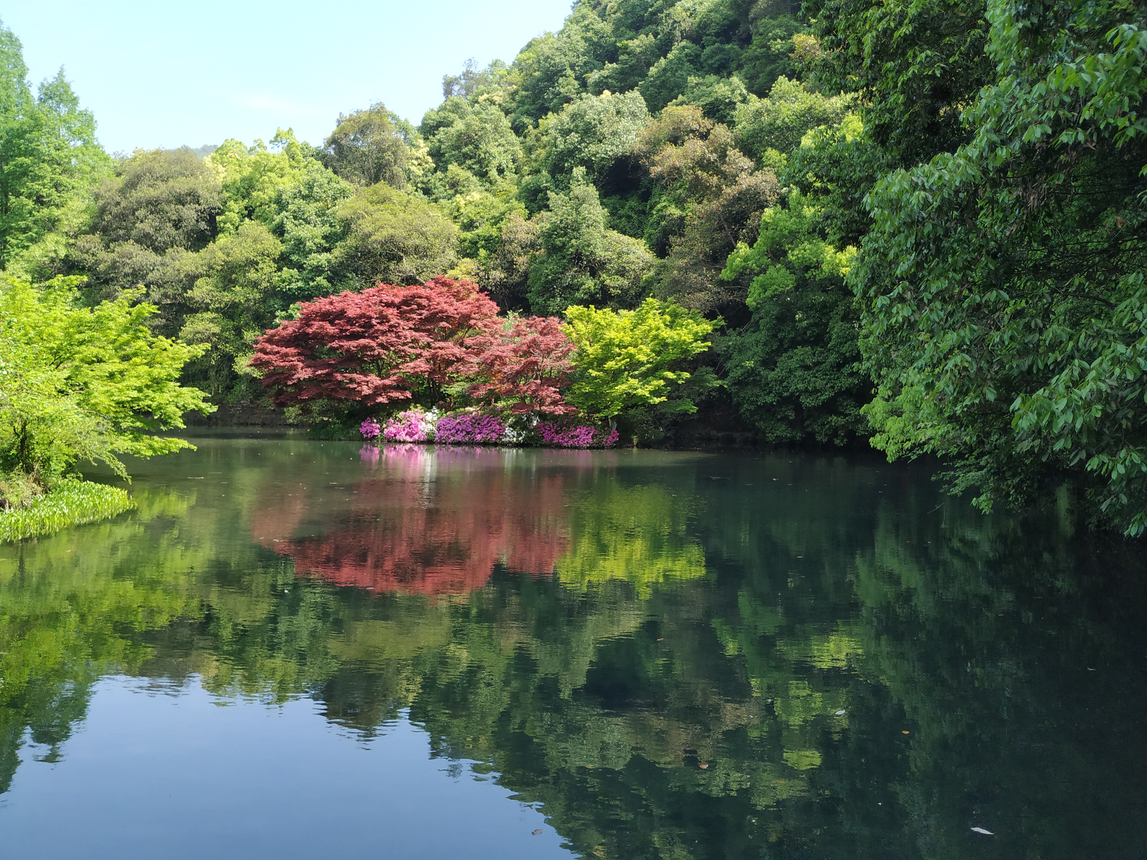 一个旅居者眼中的杭州：似水流年捕捉那四时光阴，美是记得