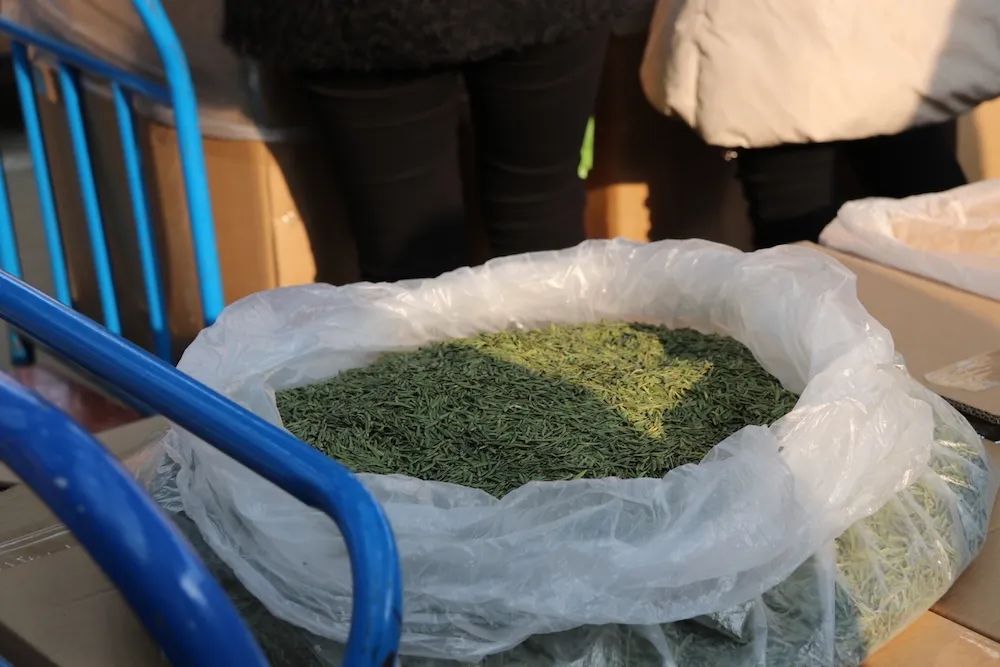 早上6点，去蒙顶山买茶是一种什么体验？