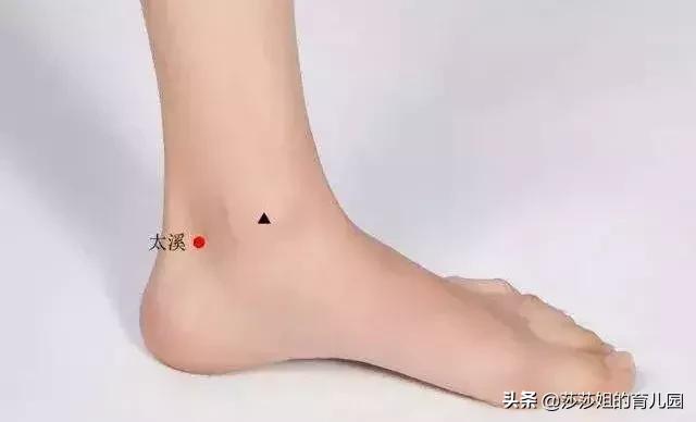 五脏养生的四季规律,五脏与体质养生