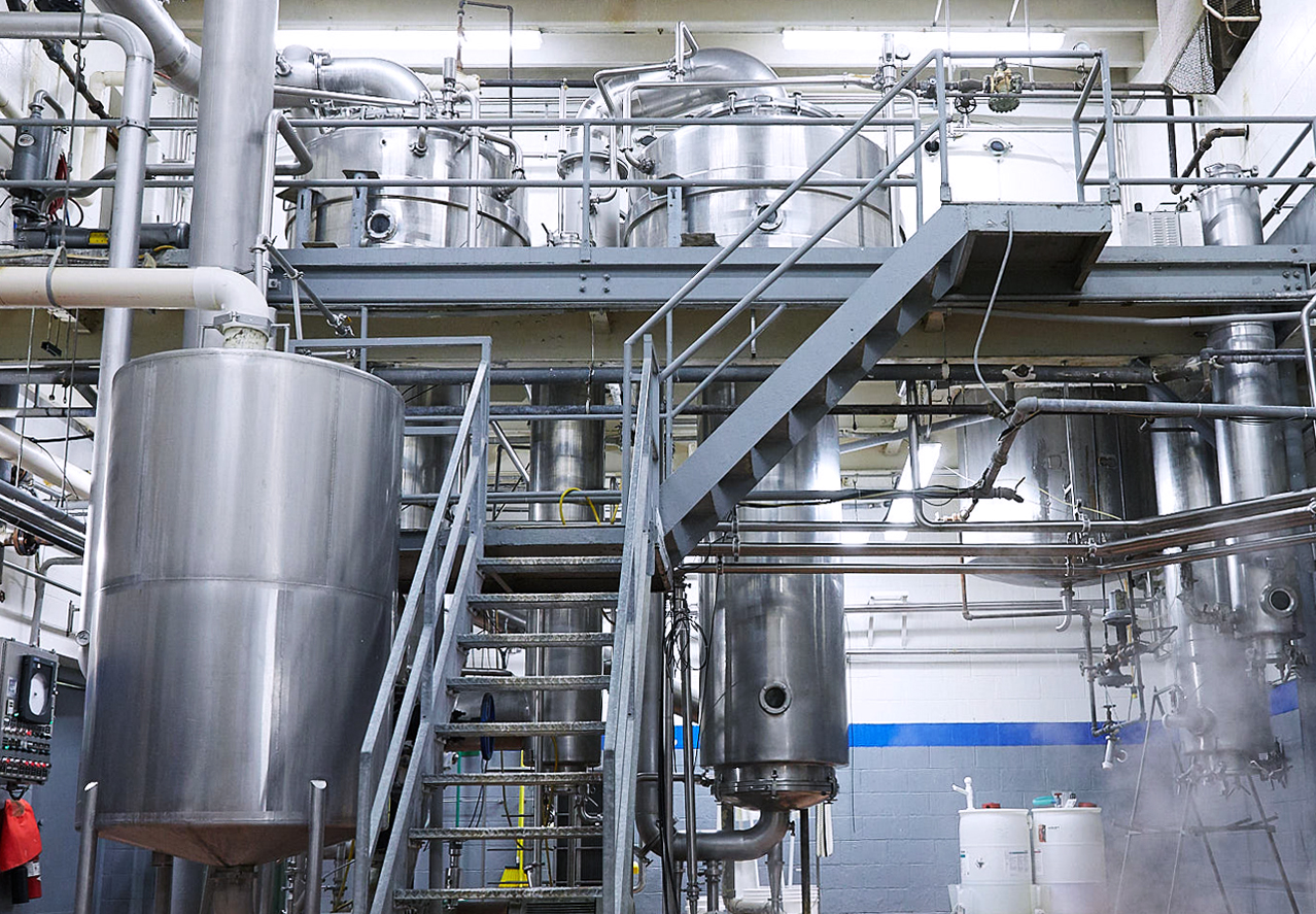 植物种出来的鸡蛋,植物蛋