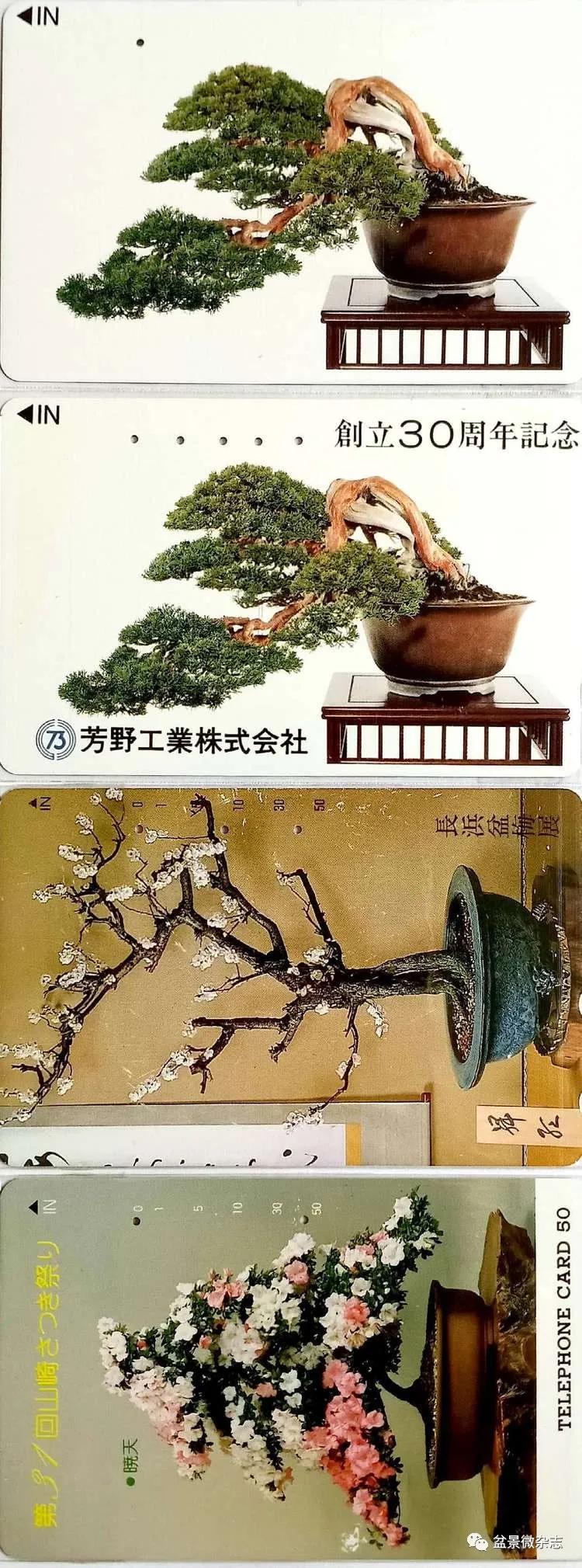 鐩嗘櫙鑱旂郴鐢佃瘽鍙风爜,涓鐩嗘櫙鑱旂郴鏂瑰紡