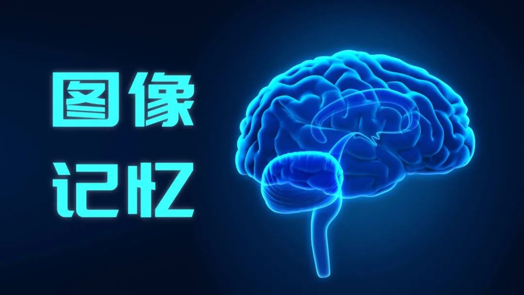 最强大脑王峰快速记忆扑克牌,打拖拉机扑克牌记忆技巧顺口溜