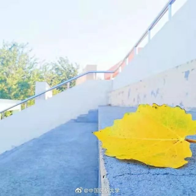 中国民航大学地位,中国民航大学很牛吗现在还有吗