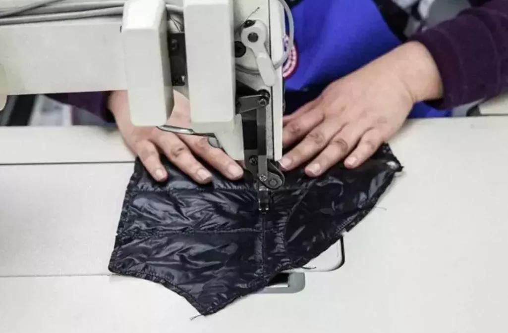 加拿大鹅既要风度又要温度,加拿大鹅冬天怎么保暖的