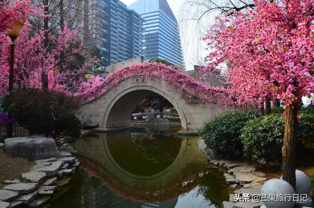 西安大兴善寺求姻缘,西安求姻缘灵验的地方