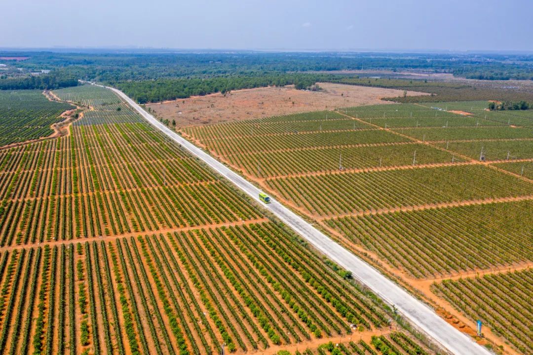 奋斗百年路启航新征程丨红色堡垒水井村！