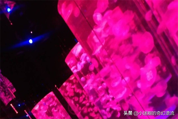 成都浩海立体海洋馆攻略,浩海立方成都海洋公园攻略