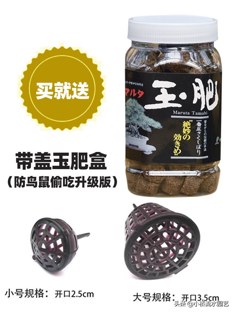 室内养花肥料选择,家庭养花不臭的肥料