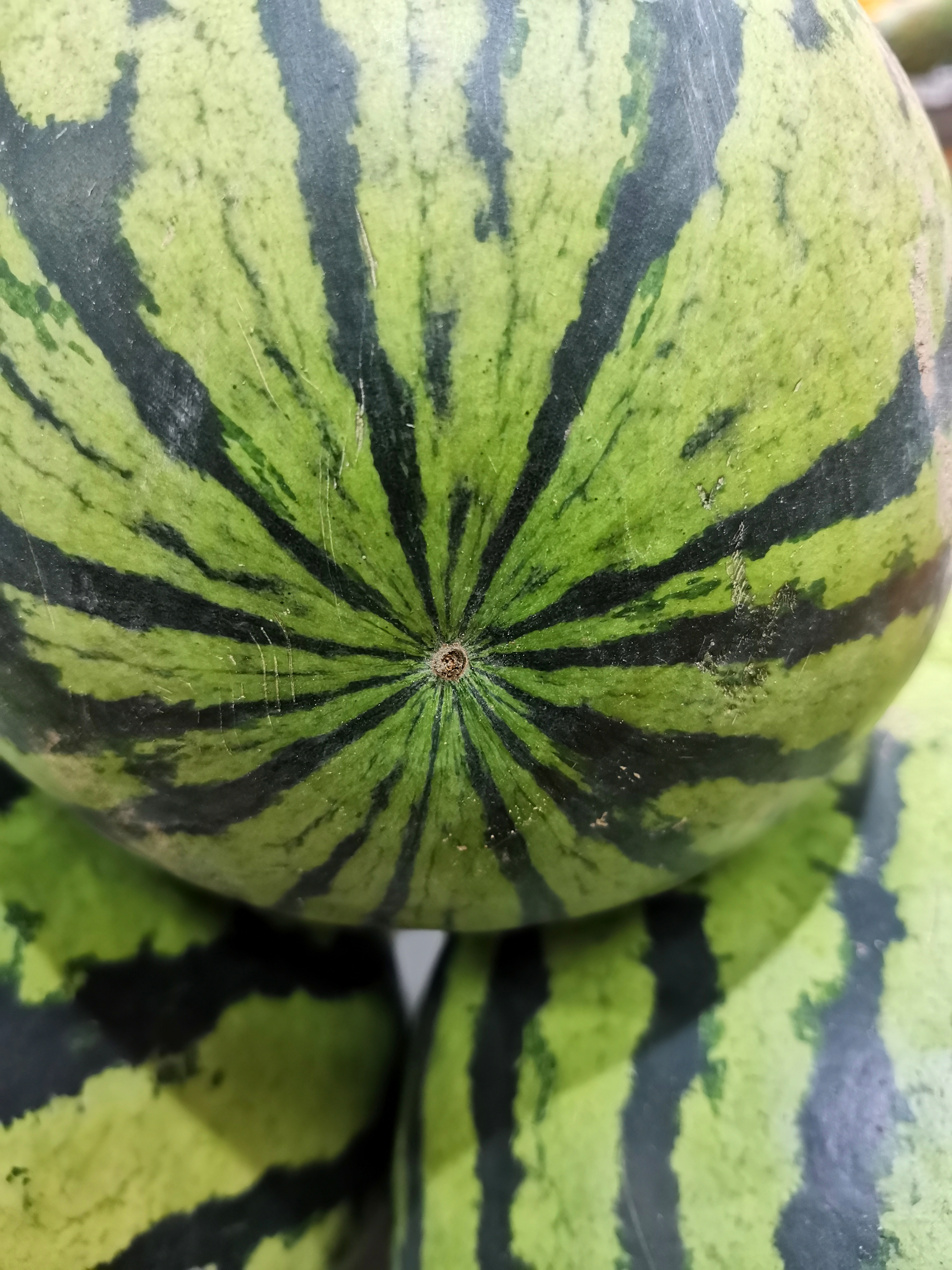 果农教你挑西瓜,瓜农教你地里挑西瓜技巧