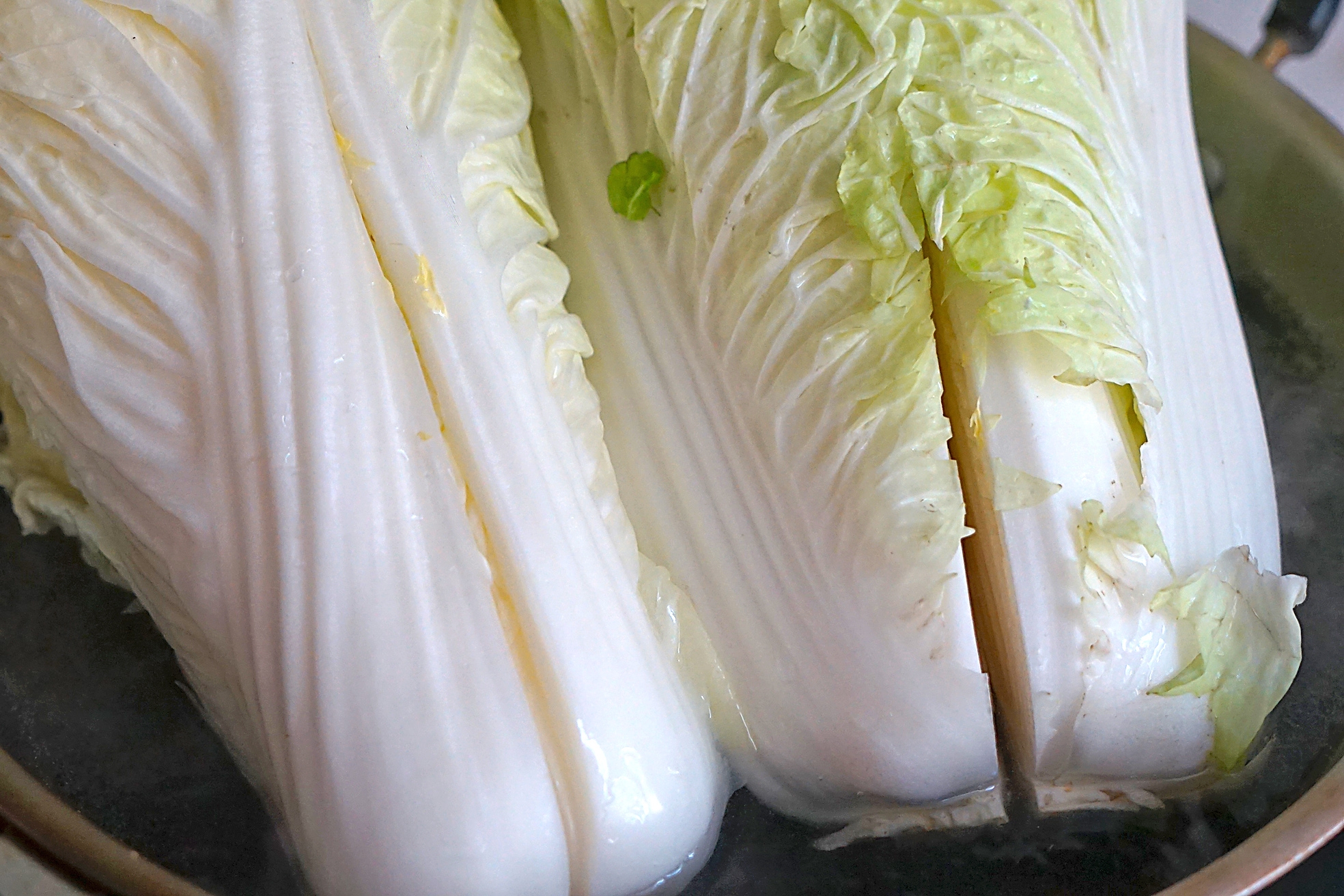 教你腌酸菜的正确做法,教你如何腌酸菜脆嫩酸爽特别下饭