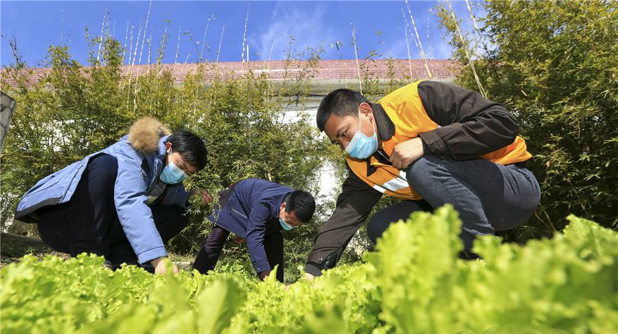 谢谢可爱的人,谢谢最可爱的你们