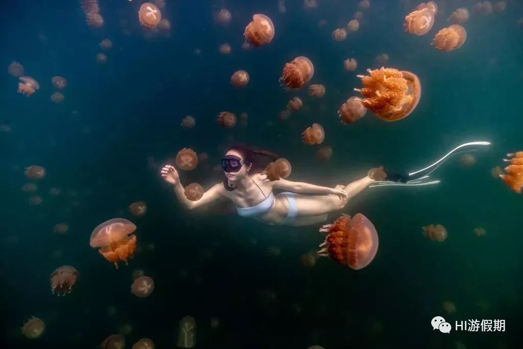 帕劳海底世界美人鱼,美人鱼和帕劳