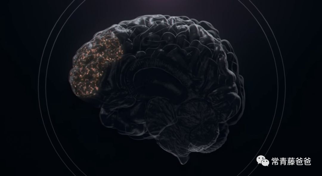 父母毁掉亲子关系,父母怎么毁掉亲子关系